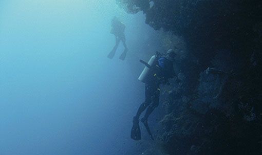  - Cabilao-bohol-dive-site_0